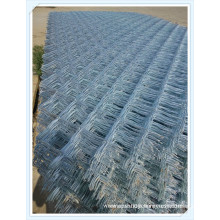 Electrical Galvanized Welded Wire Mesh Chain Link Fence Net Panel